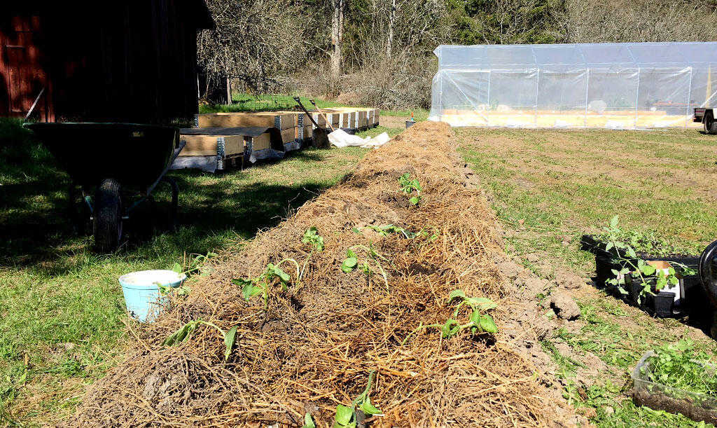 Nelson_Garden_mulching_image_2.jpg